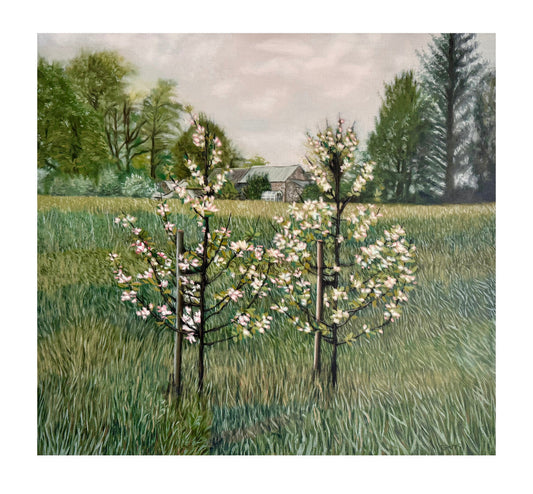 'The Orchard'